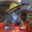 AlcoholicFeline