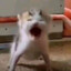 NaNi!!!!!