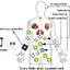 IEEE Symbiotic Autonomus Systems