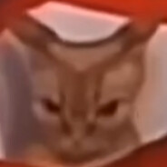 pVshek-_- avatar
