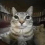 Sergs - steam id 76561198075989162