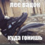 дэцл