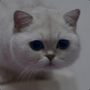 鸡毛狮王毛遮裆