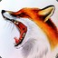 sly fox