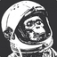 Space Monkey ☢