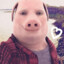 Jonathan Pork