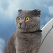 papazzzogloo