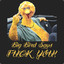 BigBird