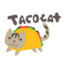 Tacocatbro