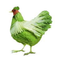 宇宙无敌超级暴龙战士