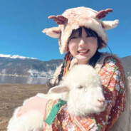 石头人和米老板