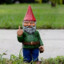 Footage of Gnome (REAL)