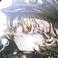 小九