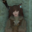 Dshadow