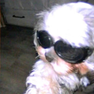 再见已是同城订单