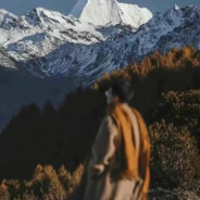 孩子回到深林吧