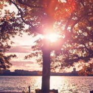 落日余晖不及她