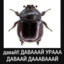 Nande