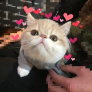 谁拿了我的鲜丰炖？Q