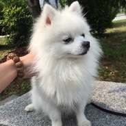 东京的风拂过嘴角