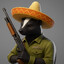 señor zorrillo