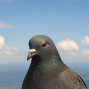 alash | dodecahedron