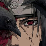 falc_iTACHI