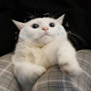 Piotr Alvaro Baska z ochoty