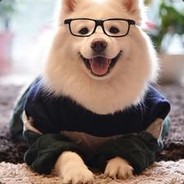 江湖人称雷克萨。