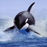 ⭐⭐⭐ СДВГ ⭐⭐⭐