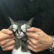 听她诉说P城故事。