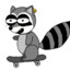 SkateBoardingRaccoon