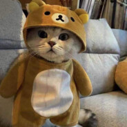 黎咯 固定赢对开