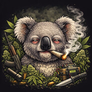 ~MiP~ Koala