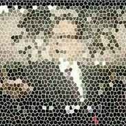 江信江疑 似董非董