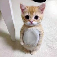 toö cōzy - steam id 76561197998624450