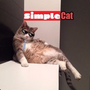 S1mpleCat