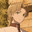 Daichi