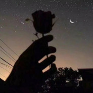 遇事不决，可问春风