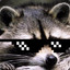 Trash_Panda's avatar