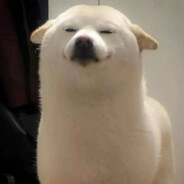 一条绘飞的咸渔