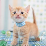 大瞎放我一条生路杀我队友就好了