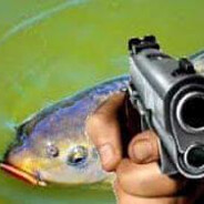 Fish with a gun