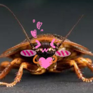 广东蟑螂很担心你啊