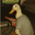 Dr. QuackScope