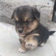 南方小伙周天宇