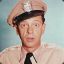 Don Knotts