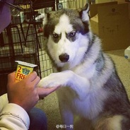 烂铁