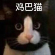 猫猫很担心你
