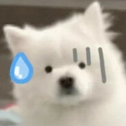 电子烟推广大师丁真